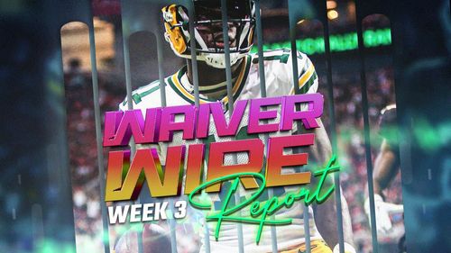 🔑 KEY Week 2 Sheeshes and Utilization